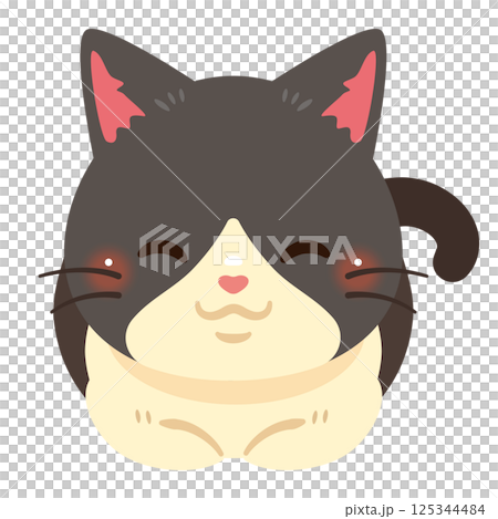 香箱座りする猫のイラスト 125344484