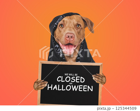 Signboard with the inscription We will be closed on Halloween 125344509