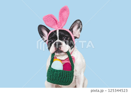 Cute puppy, felt carrot and knitted bunny ears 125344523