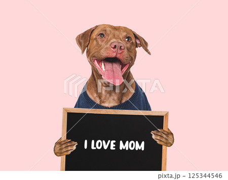 Cute dog and sign with love words for Mom Cute dog and sign with love words for Mom 125344546