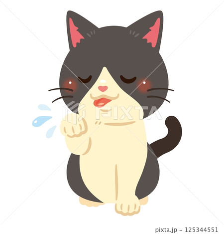 毛繕いする猫のイラスト 125344551