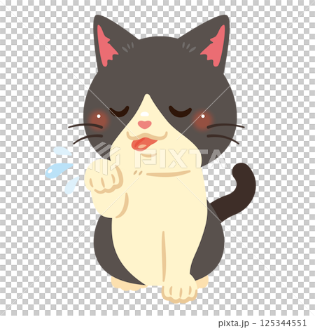 毛繕いする猫のイラスト 125344551