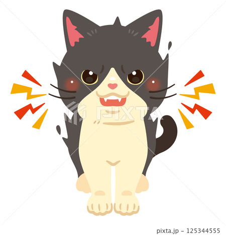 威嚇する猫のイラスト 125344555