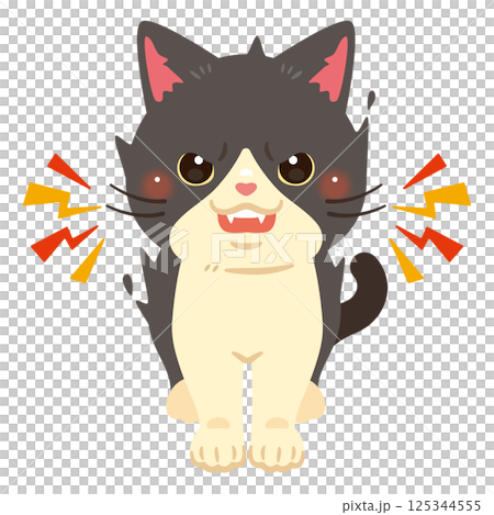 威嚇する猫のイラスト 125344555