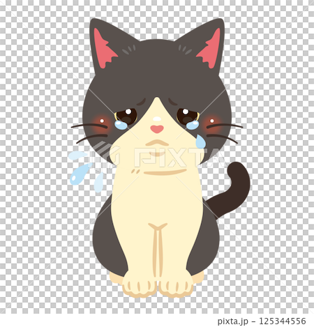Illustration of a crying cat Illustration of a crying cat 125344556