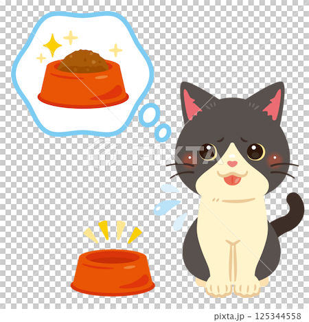 Hungry cat illustration Hungry cat illustration 125344558