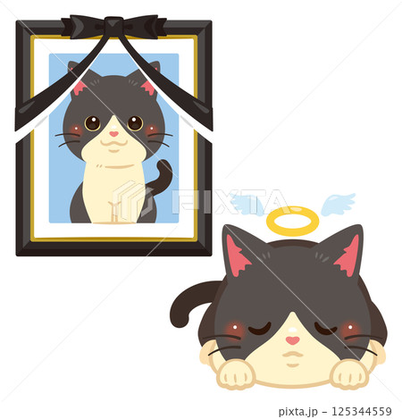 亡くなった猫と遺影のイラスト 亡くなった猫と遺影のイラスト 125344559