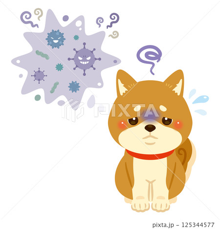 病気になった柴犬のイラスト 125344577
