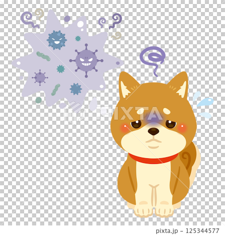 病気になった柴犬のイラスト 125344577