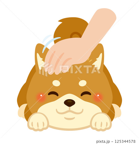 頭を撫でられる柴犬のイラスト 125344578