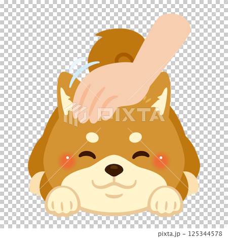 Illustration of a Shiba Inu being stroked on the head Illustration of a Shiba Inu being stroked on the head 125344578