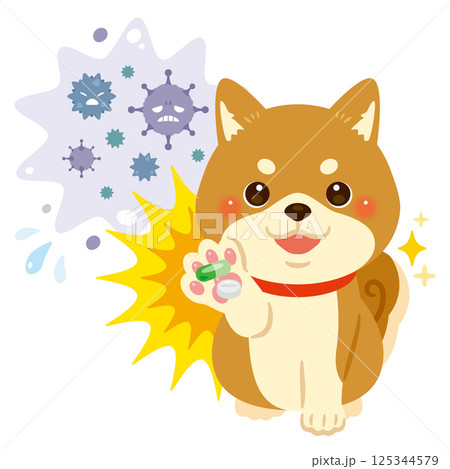 ウイルスを薬剤で治療して元気になる柴犬のイラスト 125344579