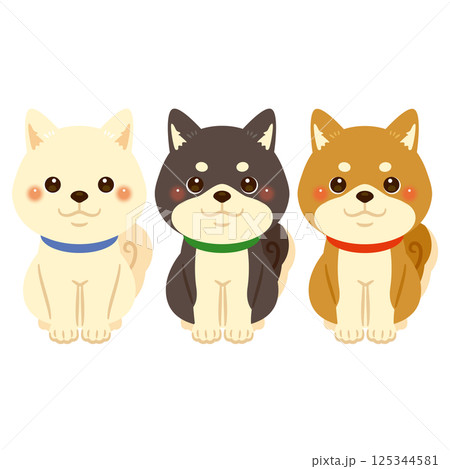 柴犬の色違いイラストセット 125344581