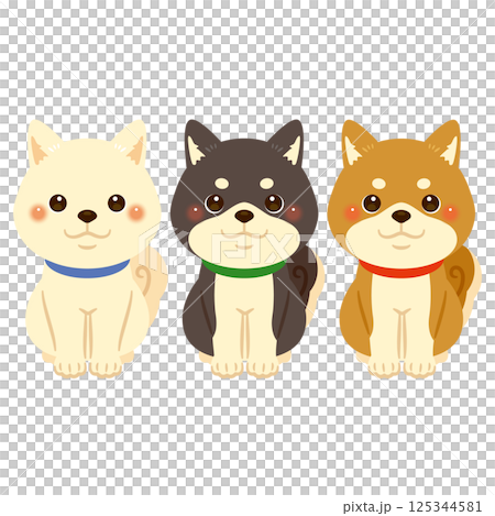 Shiba Inu different color illustration set 125344581
