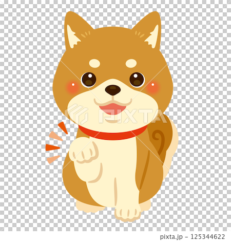 Illustration of a Shiba Inu paw 125344622