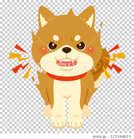 Illustration of a threatening Shiba Inu 125344623