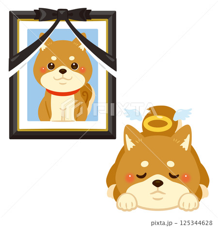 亡くなった柴犬と遺影のイラスト 亡くなった柴犬と遺影のイラスト 125344628