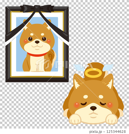 亡くなった柴犬と遺影のイラスト 亡くなった柴犬と遺影のイラスト 125344628