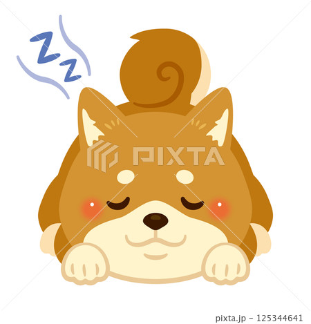 うつ伏せで眠る柴犬のイラスト うつ伏せで眠る柴犬のイラスト 125344641