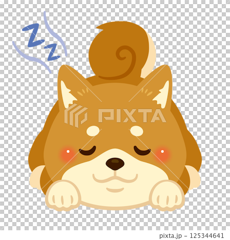 柴犬趴著睡覺的插圖 125344641