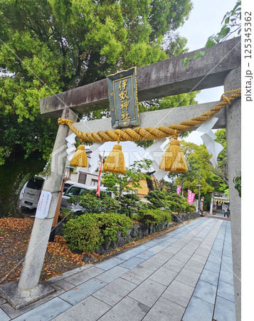 伊奴神社　愛知県　名古屋市　西区 125345362