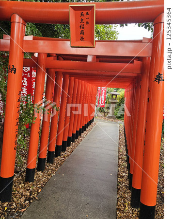 伊奴神社　愛知県　名古屋市　西区 125345364