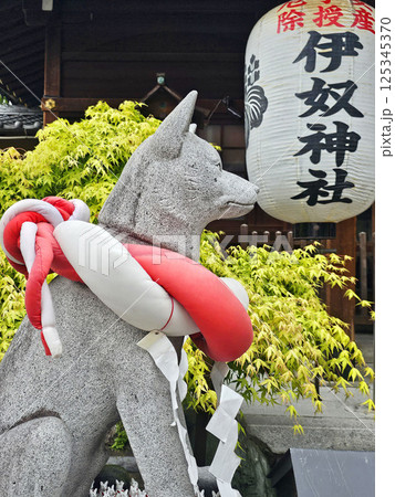伊奴神社　愛知県　名古屋市　西区 125345370