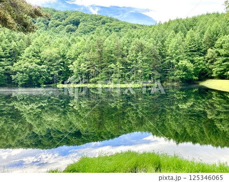 川面に映る木々や青空 125346065
