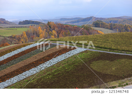 北海道のカラフルな丘の風景 125346748