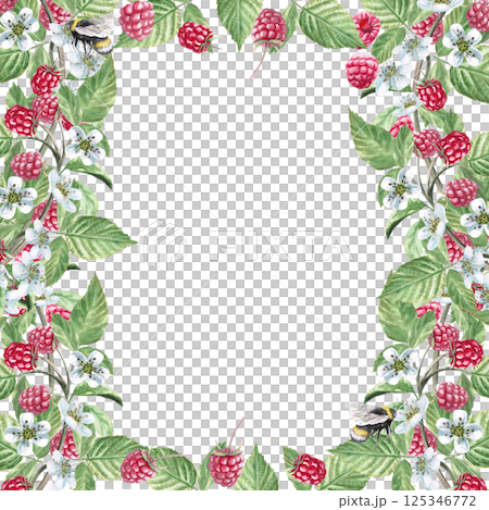Square frame with raspberry branches and bees. Isolated watercolor illustration of ripe berries for product packaging design, photo frame decoration, poster printing. 125346772