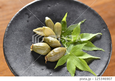 マタタビの塩漬け 125346907