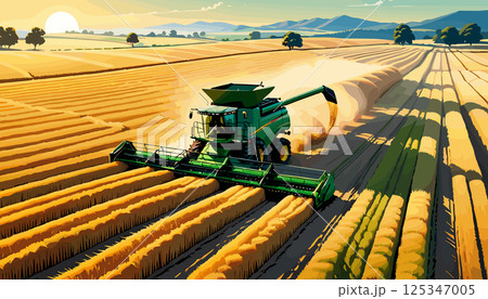 Green Harvester Working in Golden Wheat Field 125347005