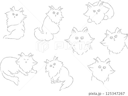 長毛種猫の可愛いイラストセット　サイベリアン 125347267