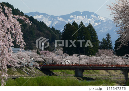 秋田県角館の桧木内川の川原から見たサクラと雪を抱く山の風景 秋田県角館の桧木内川の川原から見たサクラと雪を抱く山の風景 125347276
