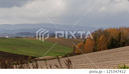 雄大な北の大地の丘の風景 雄大な北の大地の丘の風景 125347412