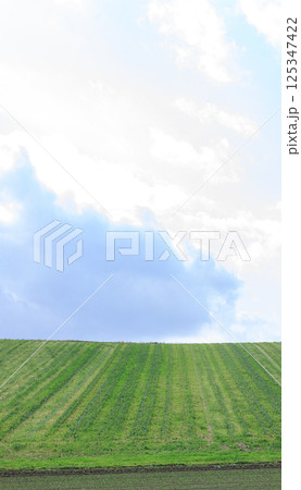 雄大な北の大地の丘の風景 125347422