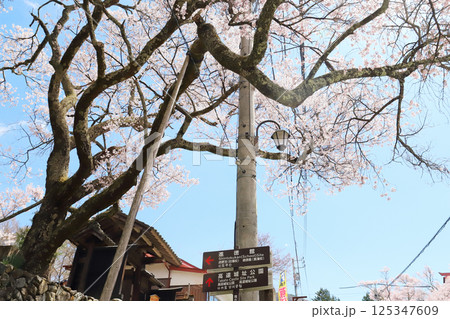 高遠城址 進徳館（長野県 高遠町） 125347609