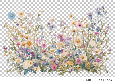 Colorful flower field illustration 125347623
