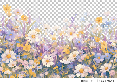 Flower garden materials such as cosmos 125347624