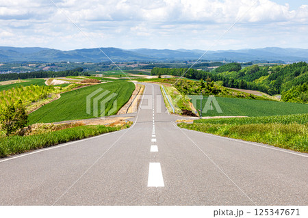 北海道美瑛町の道のある風景 北海道美瑛町の道のある風景 125347671