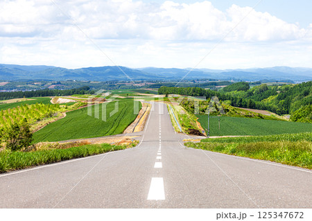 北海道美瑛町の道のある風景 北海道美瑛町の道のある風景 125347672