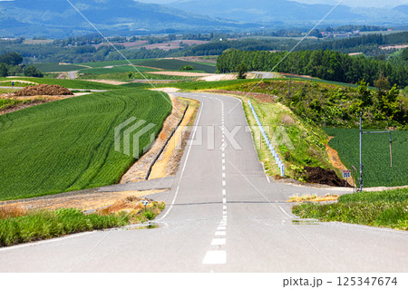 北海道美瑛町の道のある風景 125347674