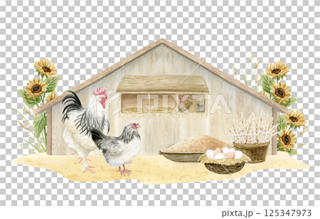 Watercolor chickens in wooden coop with eggs, wheat harvest in wicker basket and millet bird food isolated illustration. Village scene with sunflowers for poultry yard designs and organic goods 125347973