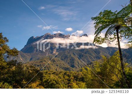 東南アジア最高峰 キナバル山 東南アジア最高峰 キナバル山 125348110