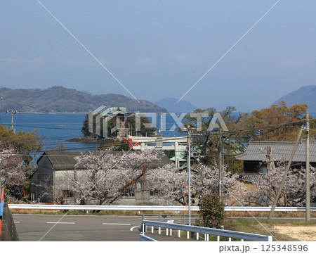 桜の季節、香川県三豊市三野町の海上に浮かぶ子供の守り神「津嶋神社」 125348596