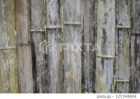 古い竹の壁(松江市) 古い竹の壁(松江市) 125348604