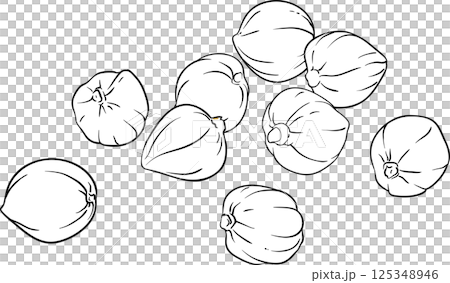 Kukui Nuts Outline Illustration. Kukui Nuts Outline Illustration. 125348946