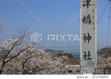 桜の季節、香川県三豊市三野町の海上に浮かぶ子供の守り神「津嶋神社」 125349004
