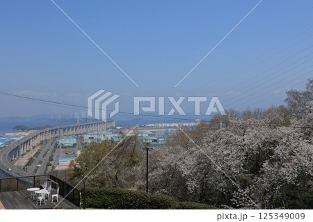 聖通寺山より望む瀬戸大橋(手前は番の州高架橋) 聖通寺山より望む瀬戸大橋(手前は番の州高架橋) 125349009