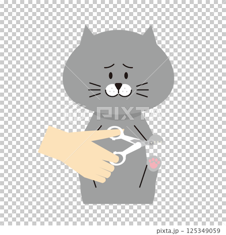一隻灰貓被剪指甲的插圖 125349059